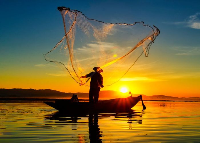 O equilíbrio entre economia e proteção dos ecossistemas